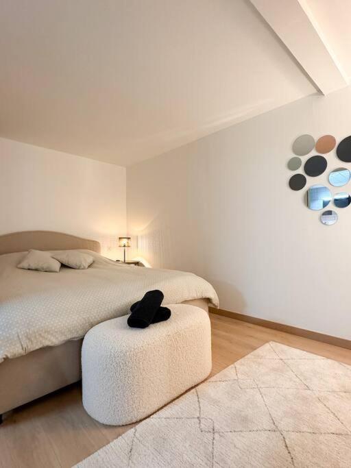 Апартаменты Mulhouse En Douceur, Hypercentre De Мюлуз Экстерьер фото