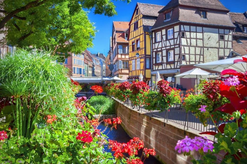 Апартаменты Mulhouse En Douceur, Hypercentre De Мюлуз Экстерьер фото